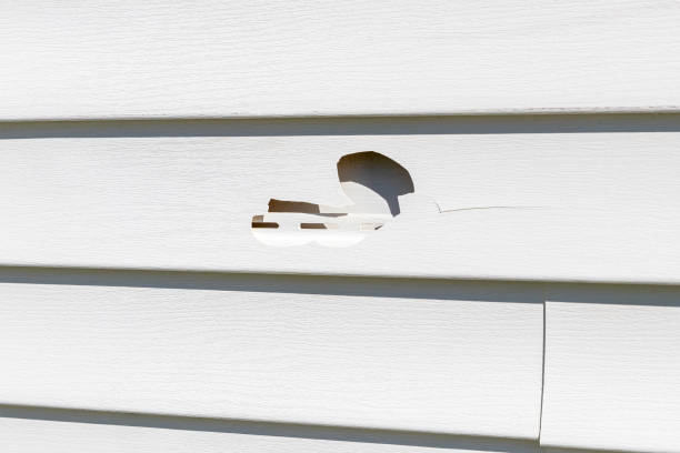 Best James Hardie Siding  in Imperial Beach, CA